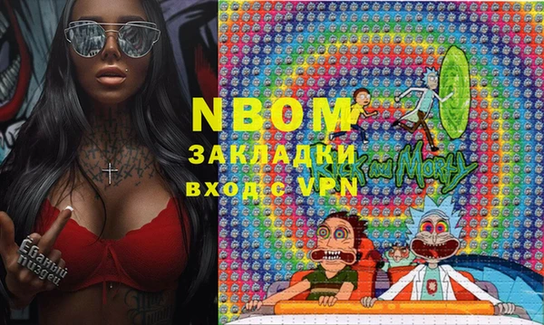 шишки Тайга
