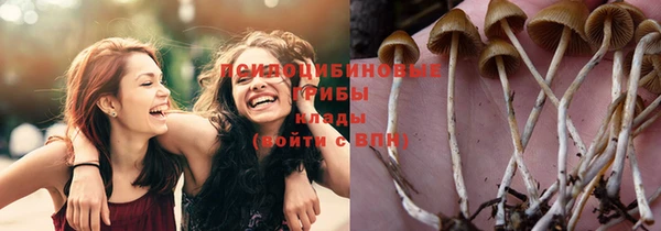 ECSTASY Алексеевка