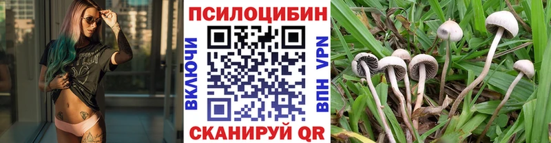 Галлюциногенные грибы Psilocybine cubensis Раменское