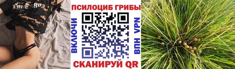 Галлюциногенные грибы GOLDEN TEACHER  Раменское 