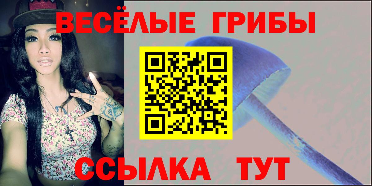 Раменское  Псилоцибиновые грибы Psilocybe  Вход с VPN  где продают   Псилоцибиновые грибы прущие грибы 